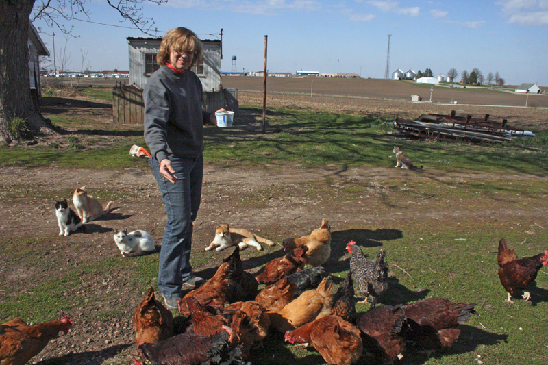 Barb Arland-Fye Janet Friederichs, director of religious education for St. Andrew Parish-Blue Grass, feeds chickens on her family’s farm near Walcott.