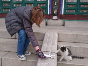 Contributed A cat greets Flat Amos at Yonggungsa Temple in South Korea last winter. 