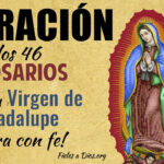 Los 46 rosarios a la Virgen de Guadalupe