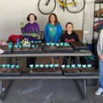Girl Scout Bronze Award project benefits Kahl Home residents